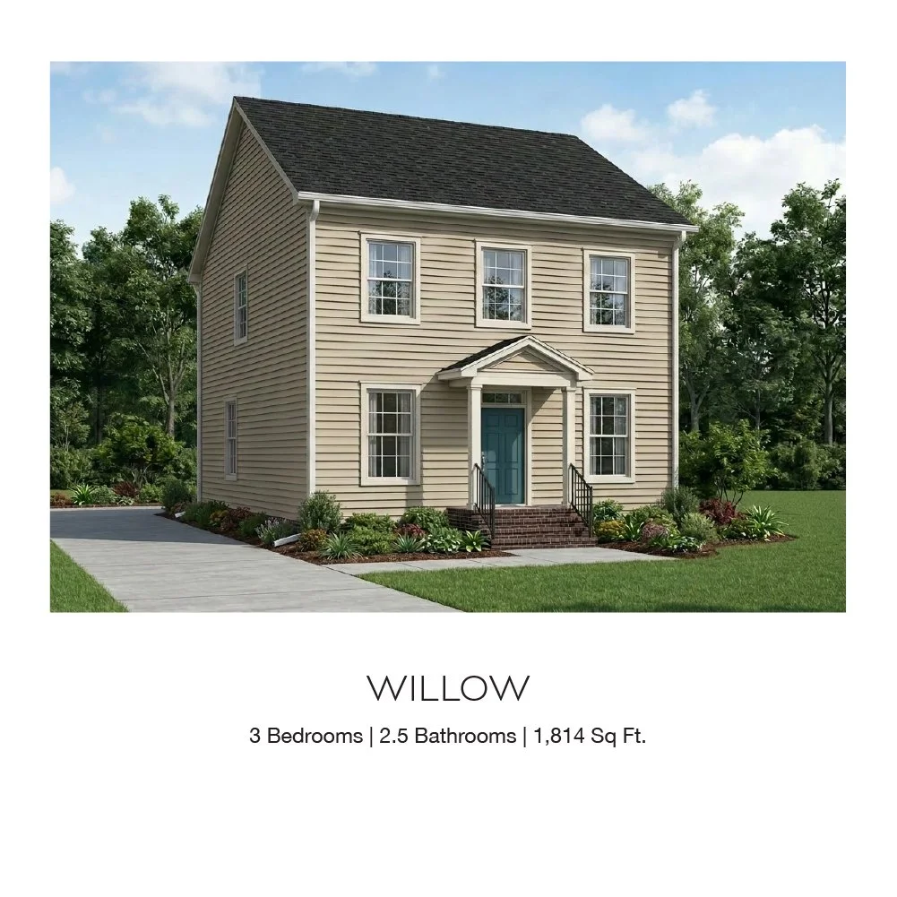 Willow.jpg