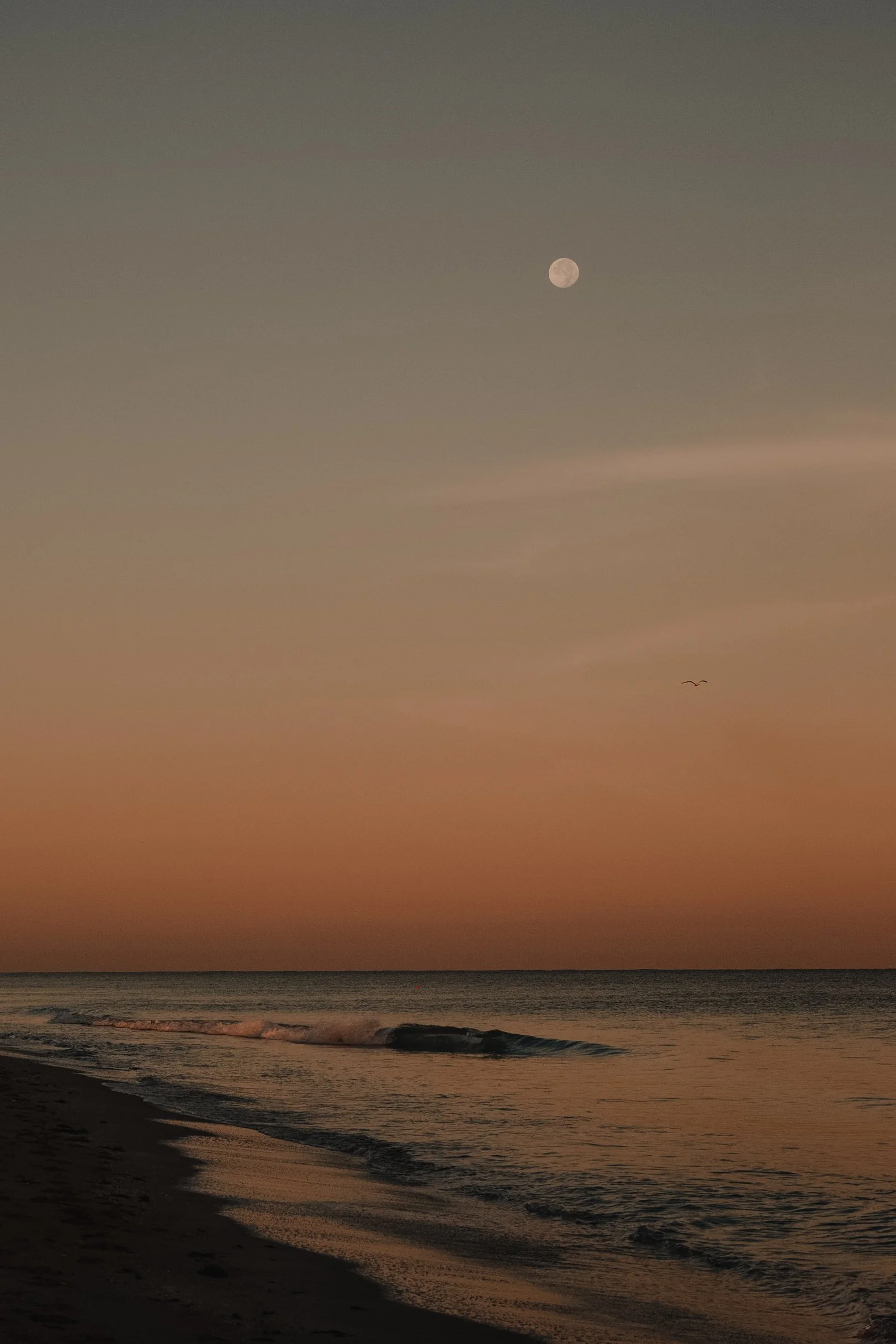 A beach scene during sunset with a full moon in the sky, gentle waves washing ashore, and a boat visible on the water.