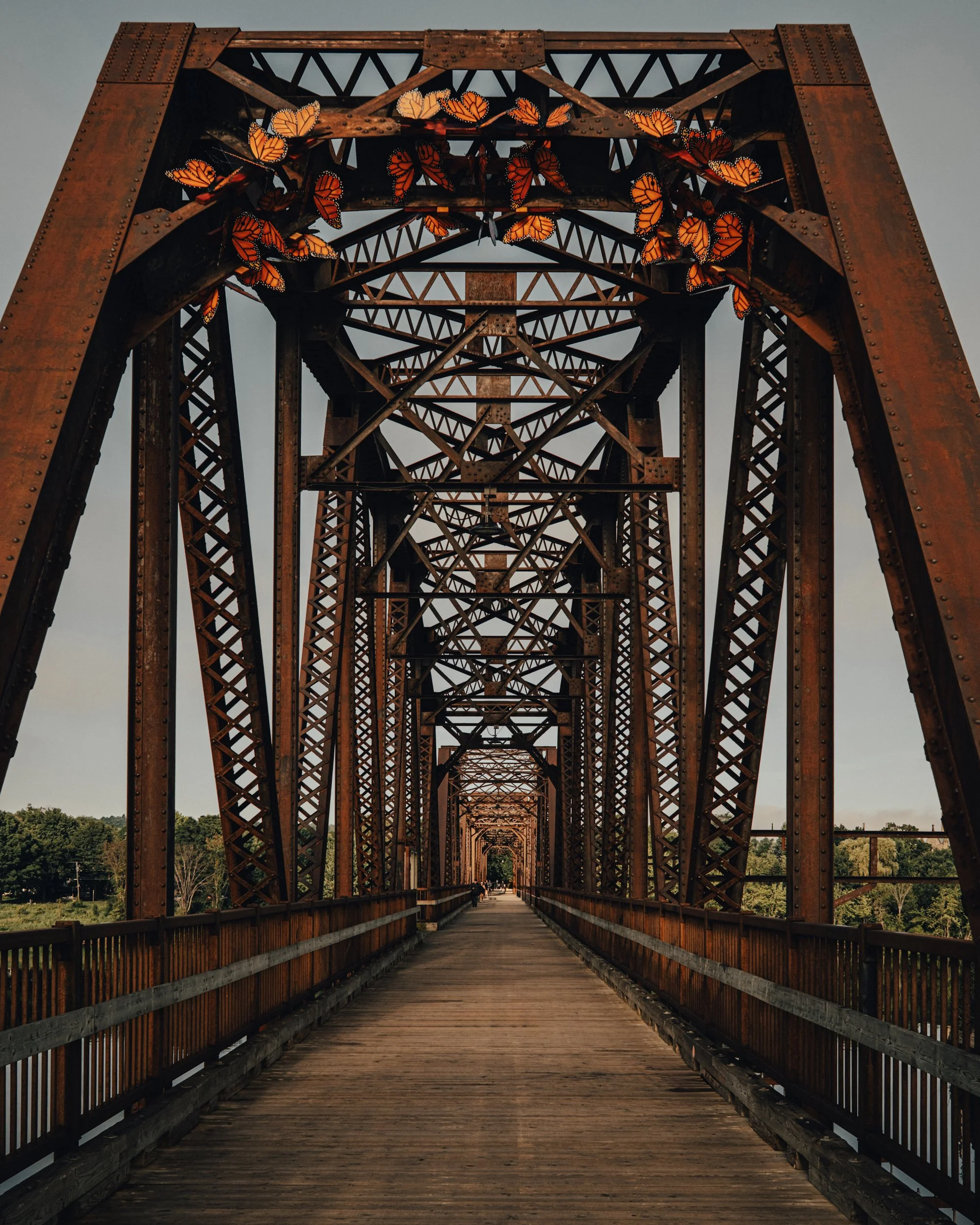Photo of an old rusted iron bridge with butterflies decorations on top, over a wooden pathway, surrounded by trees.