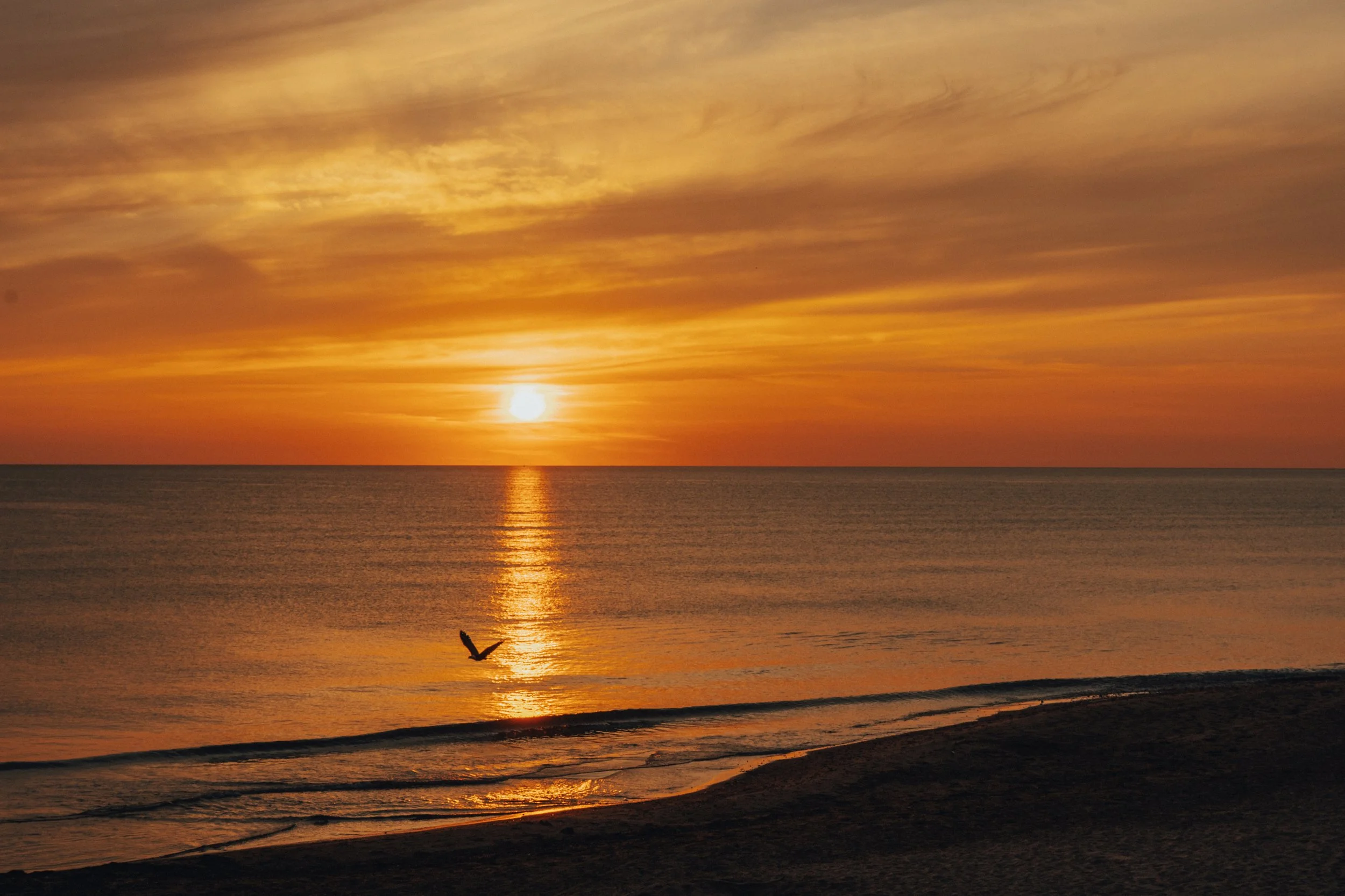 A sunset over the ocean with a bird flying near the water's surface, colorful sky with clouds, and the shoreline in the foreground.