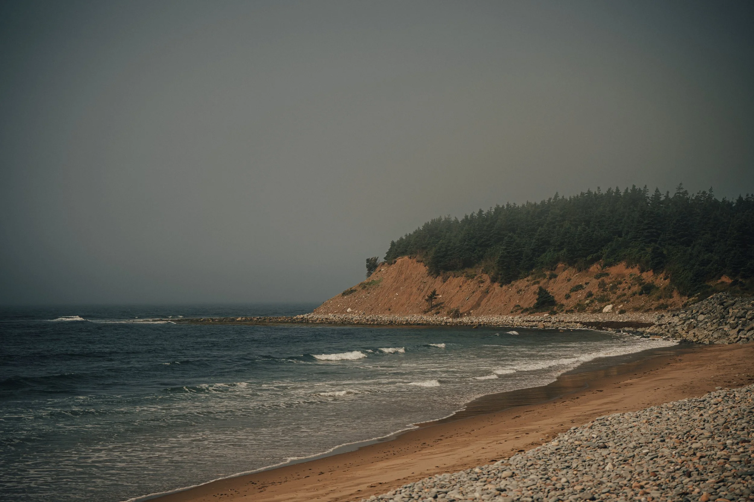 A coastal scene with a sandy beach, rocky shoreline, ocean waves, a cliff covered with dense evergreen trees, and a cloudy sky.