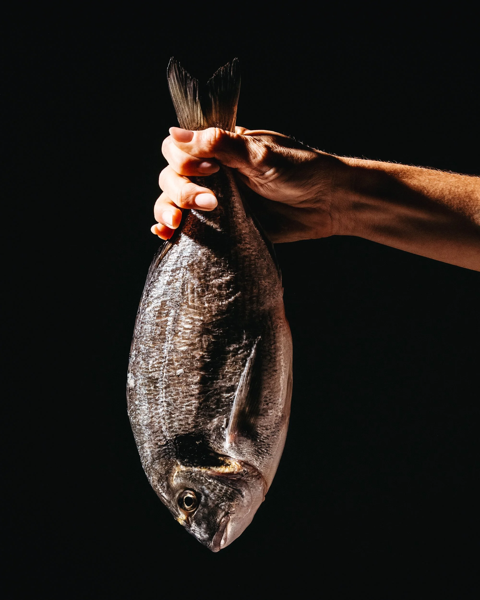 A hand holding a fish by the tail against a black background.