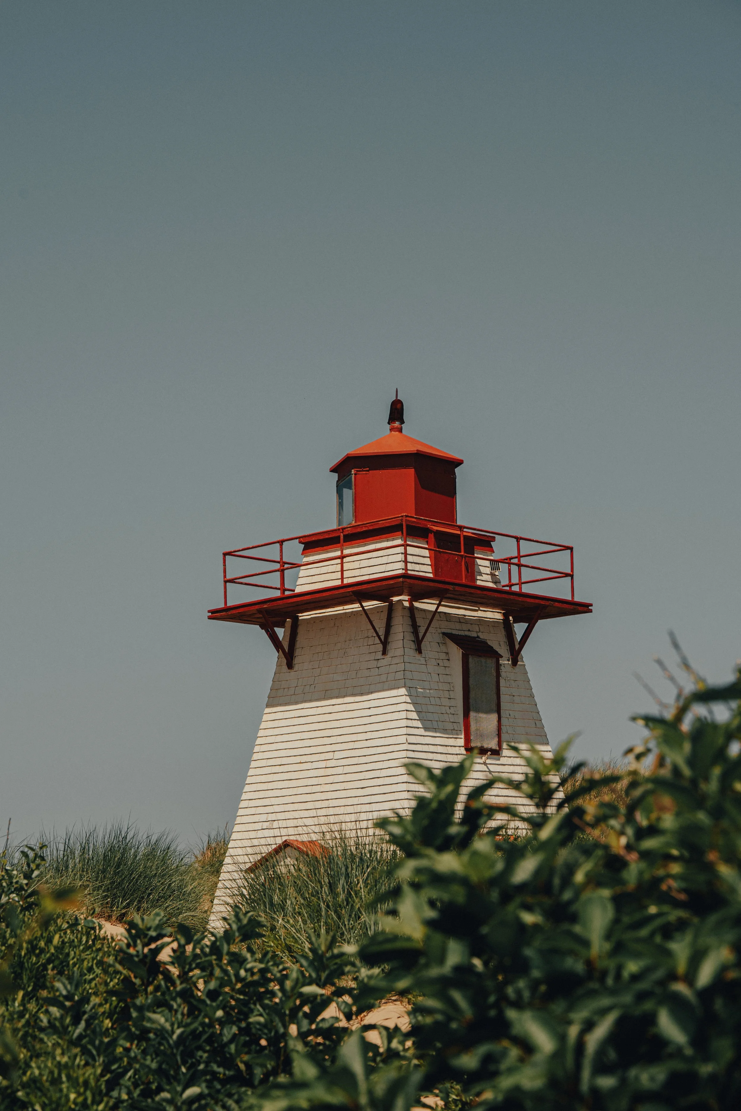 A white lighthouse with a red roof and red railing at the top, surrounded by green bushes and grass under a clear blue sky.