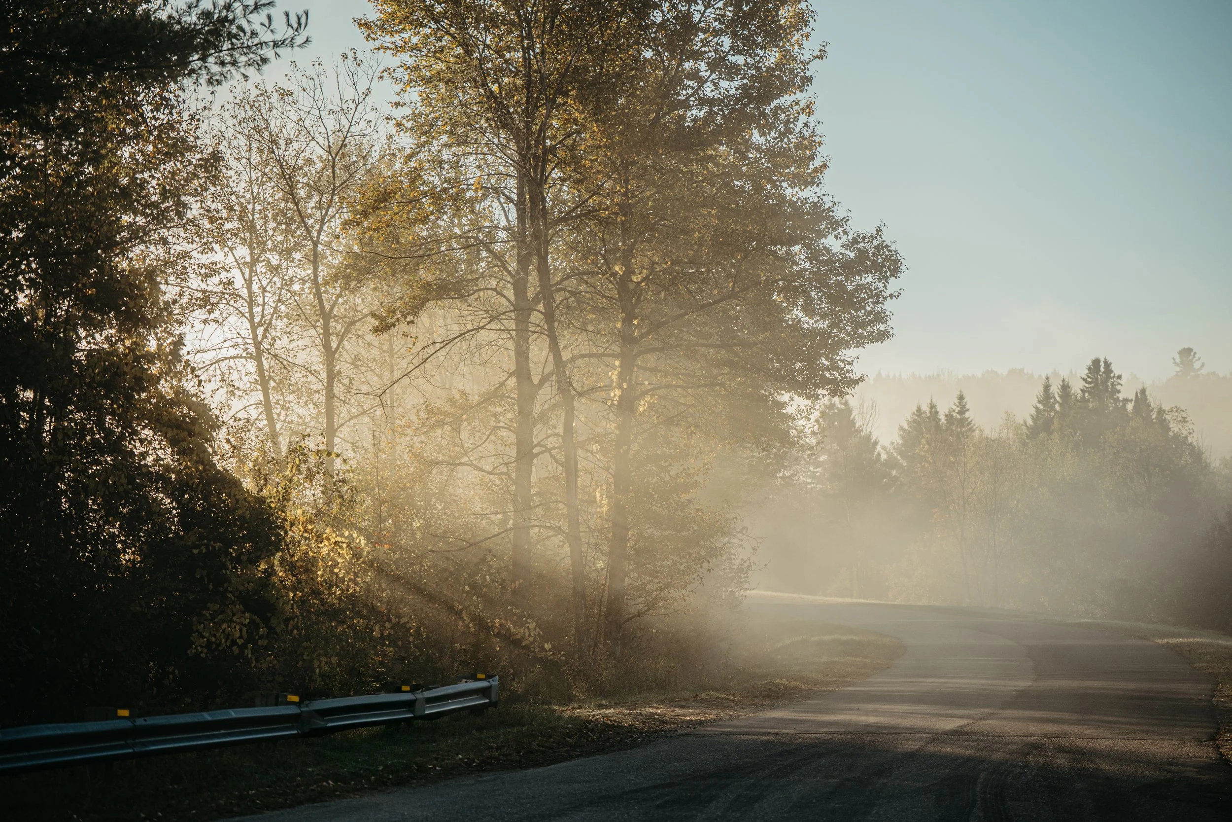 PAT08409-Edit.jpg