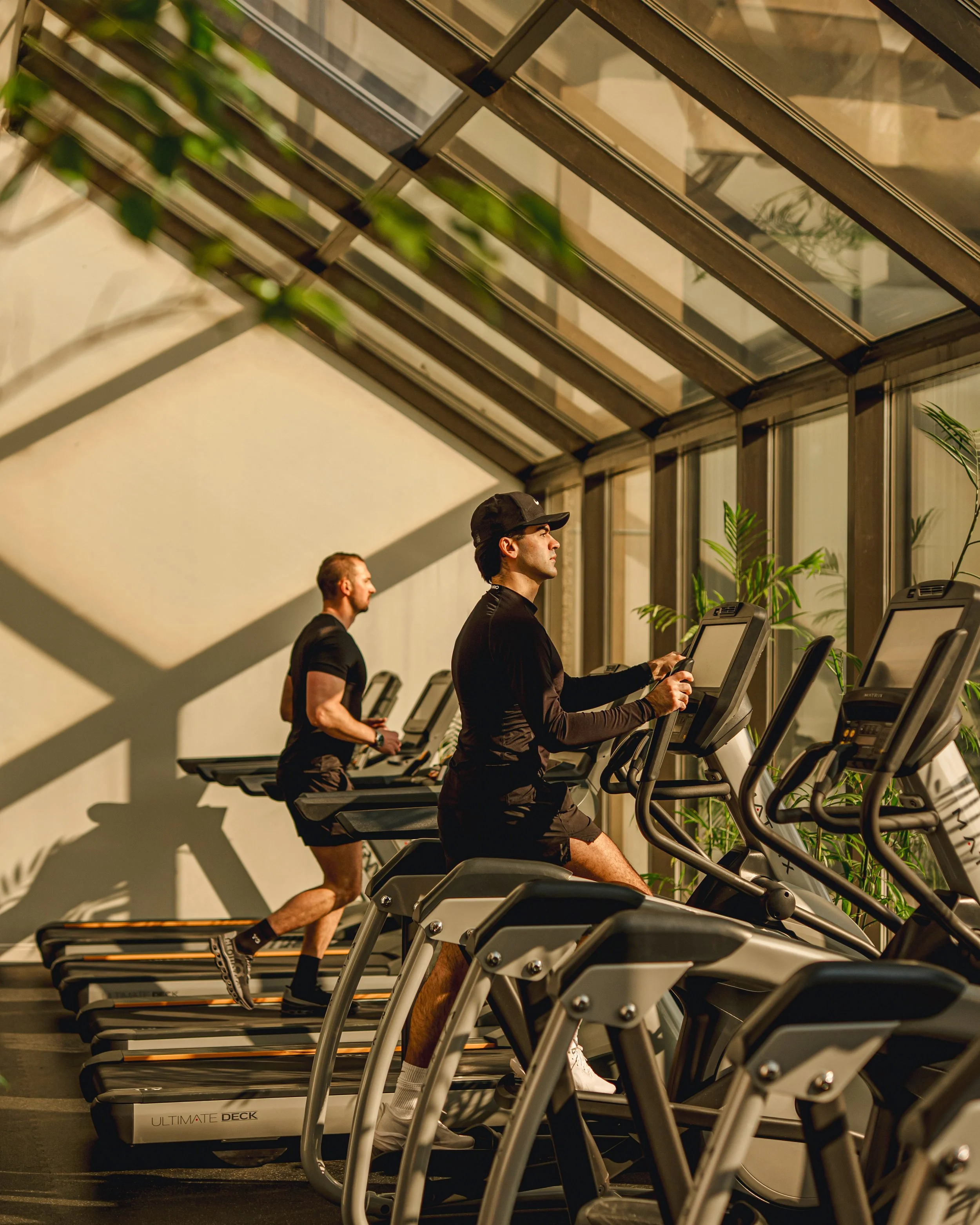 People running on treadmills in a gym with large windows, plants, and natural light.