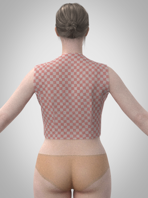 HD Asymmetric Darts and Tucks Back Render.png