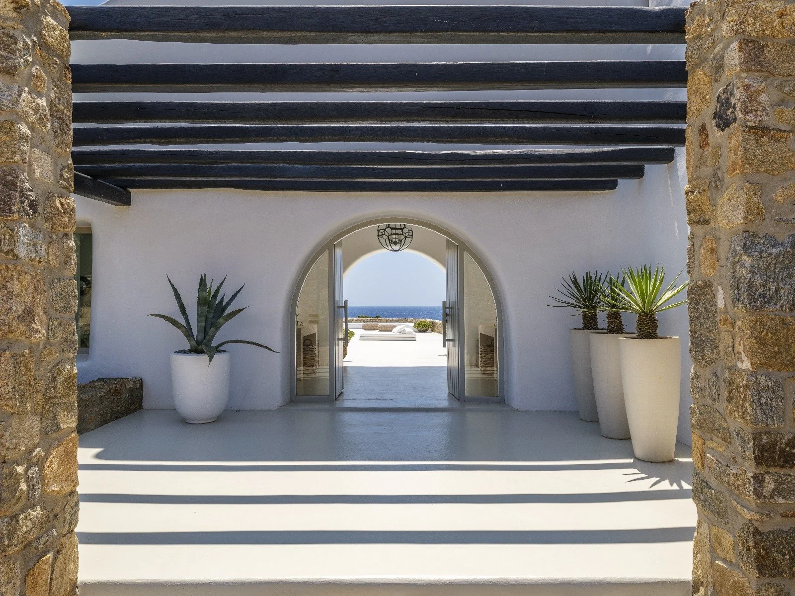 Agave - outside.jpg