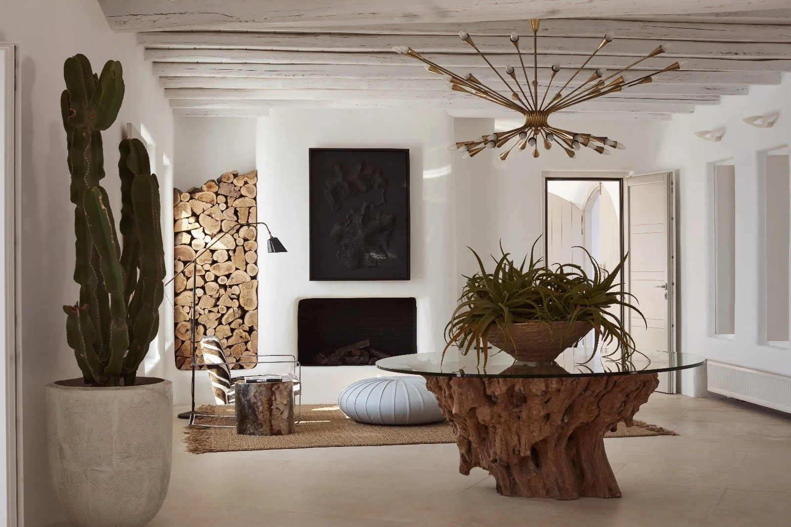 Agave - indoor fireplace.jpg