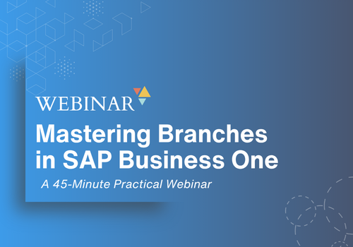 Mastering Branches in SAP Business One
