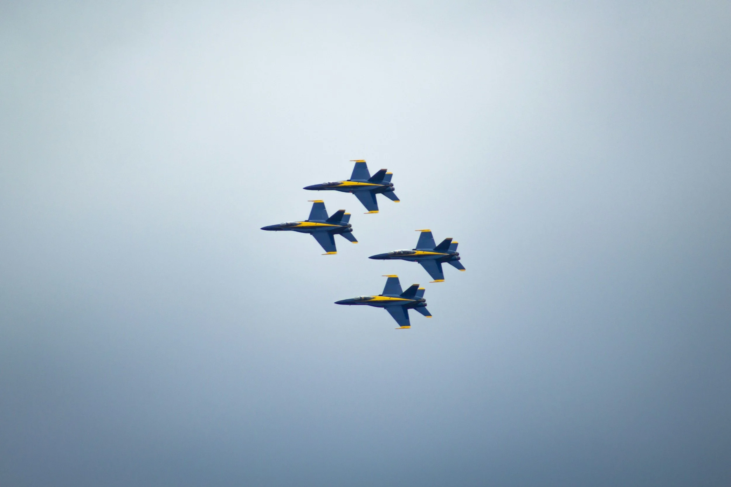 Soaring High: The Legacy of the Blue Angels