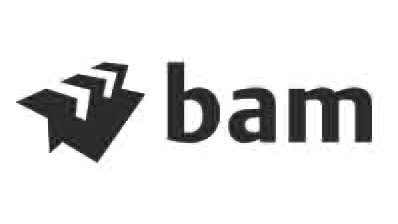 BAM_Logo (1).jpg