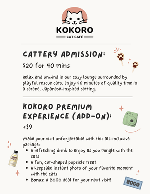 Kokoro Cat Café | Flushing, NYC