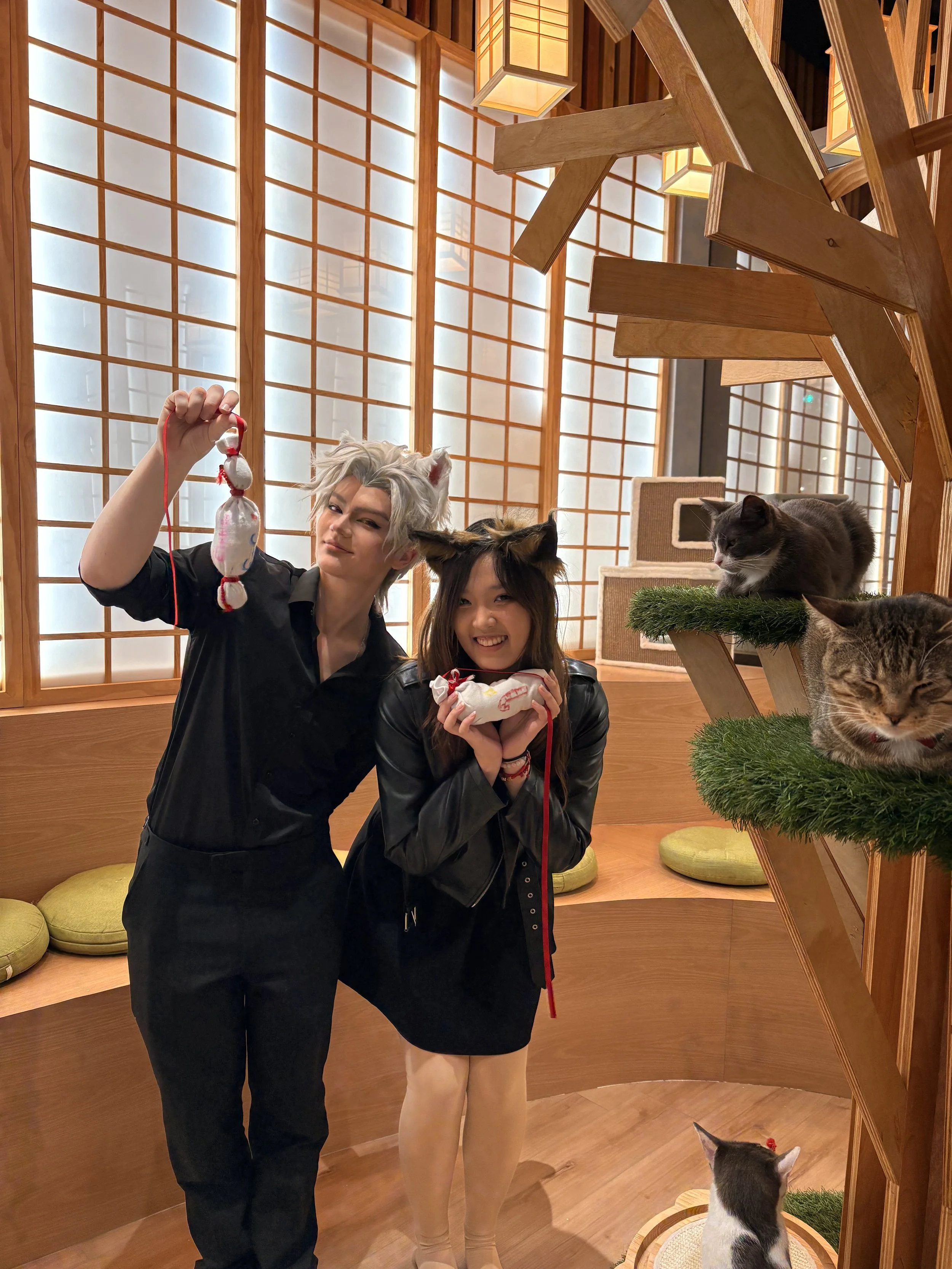 Guests enjoying their visit at Kokoro Cat Cafe in Flushing Queens