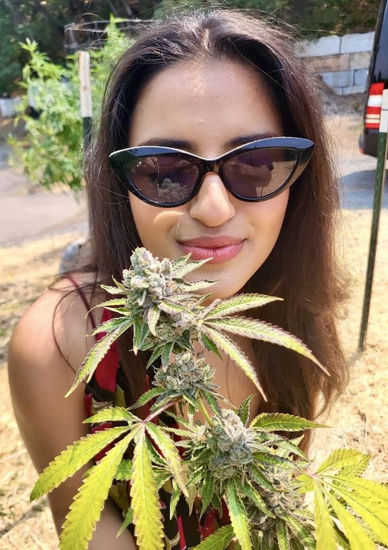 A woman with long dark hair wearing large black sunglasses is smiling outdoors. She is holding a flowering cannabis plant with green and purple-tinged leaves and buds. The background shows greenery, a dirt surface, and some wooden and metal structures.