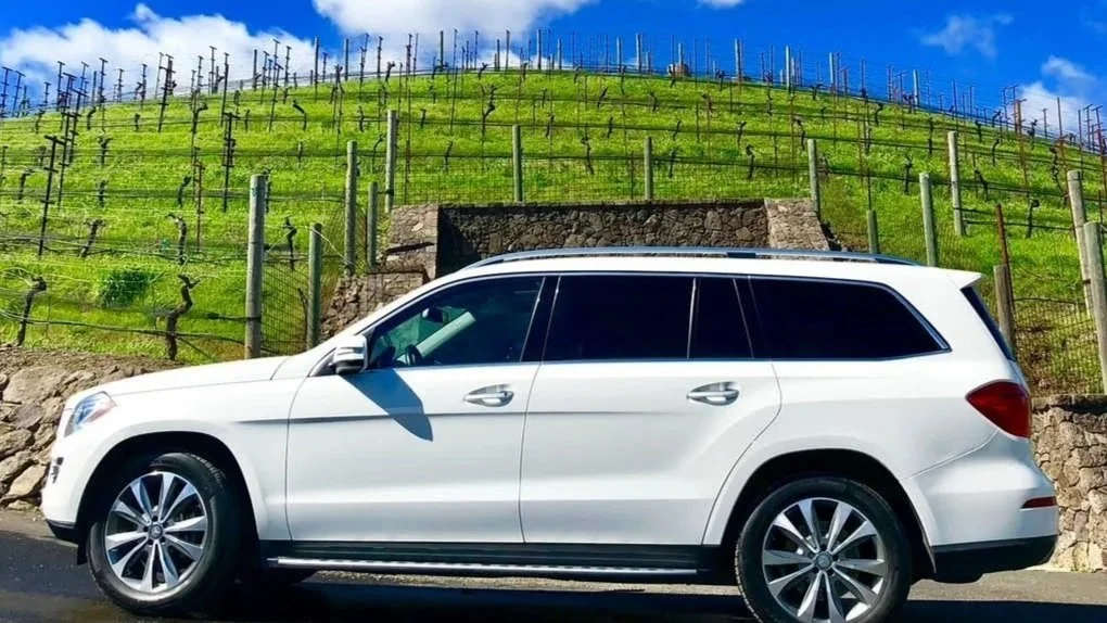 White SUV parked in front of a hillside vineyard with green vines and black trellises under a partly cloudy sky.