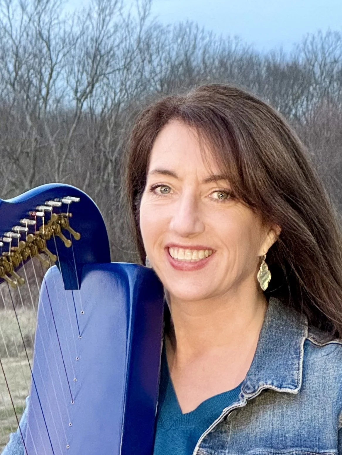 IMG_0088 - iceharp1.jpeg