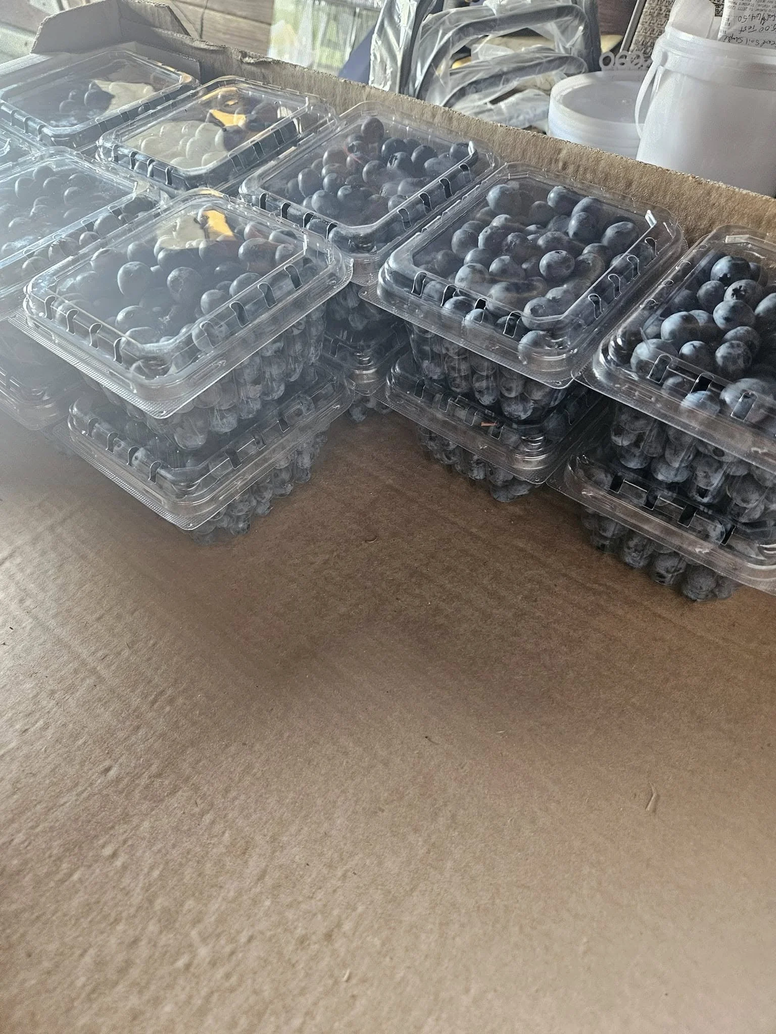Stacks of clear plastic containers filled with blueberries on a cardboard surface.