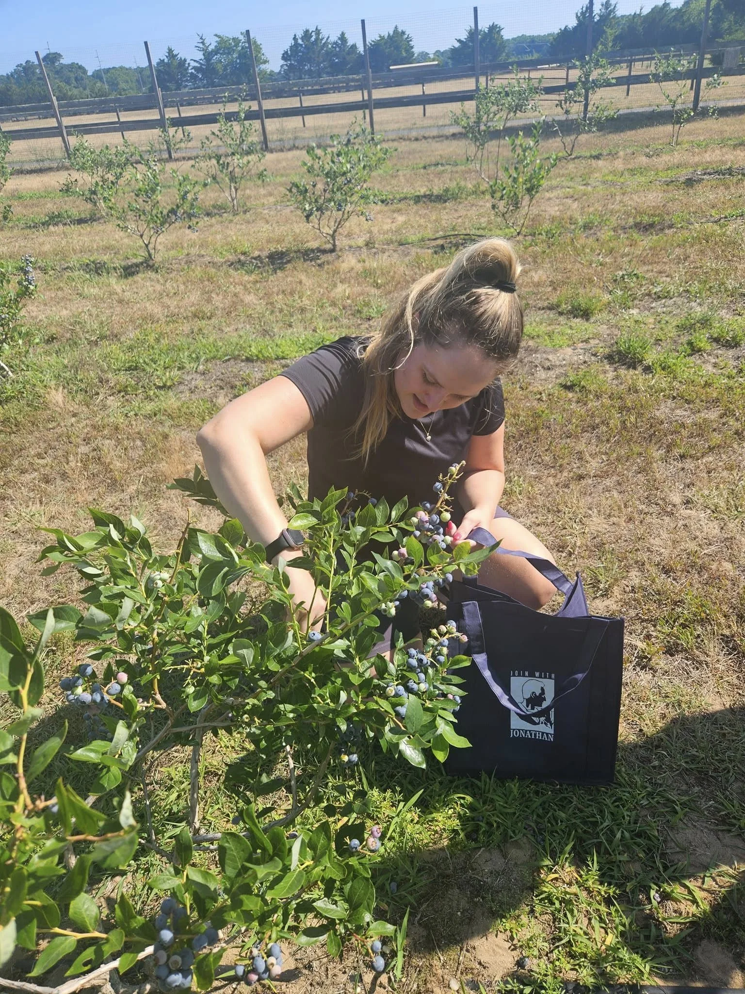 A woman harvesting blueberries from a bush in an outdoor field, with a black bag nearby that reads 'Join With Jonathan' and a mountain range and fence in the background.