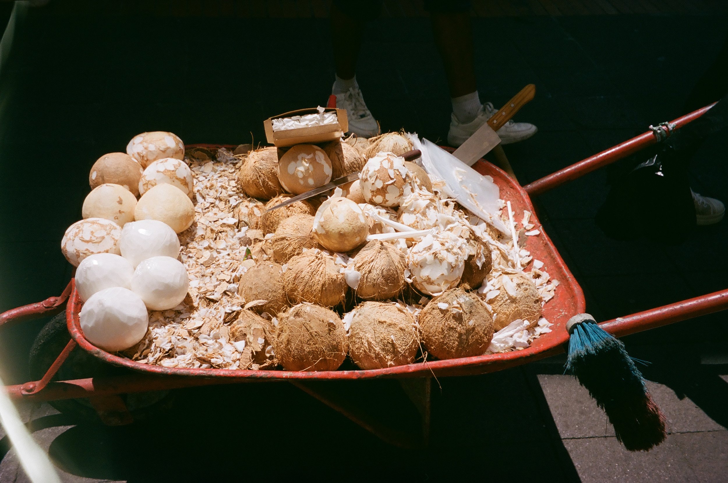 Close-up of a red wheelbarrow filled with coconuts and coconut shells, with some tools and a person wearing white sneakers visible in the background.