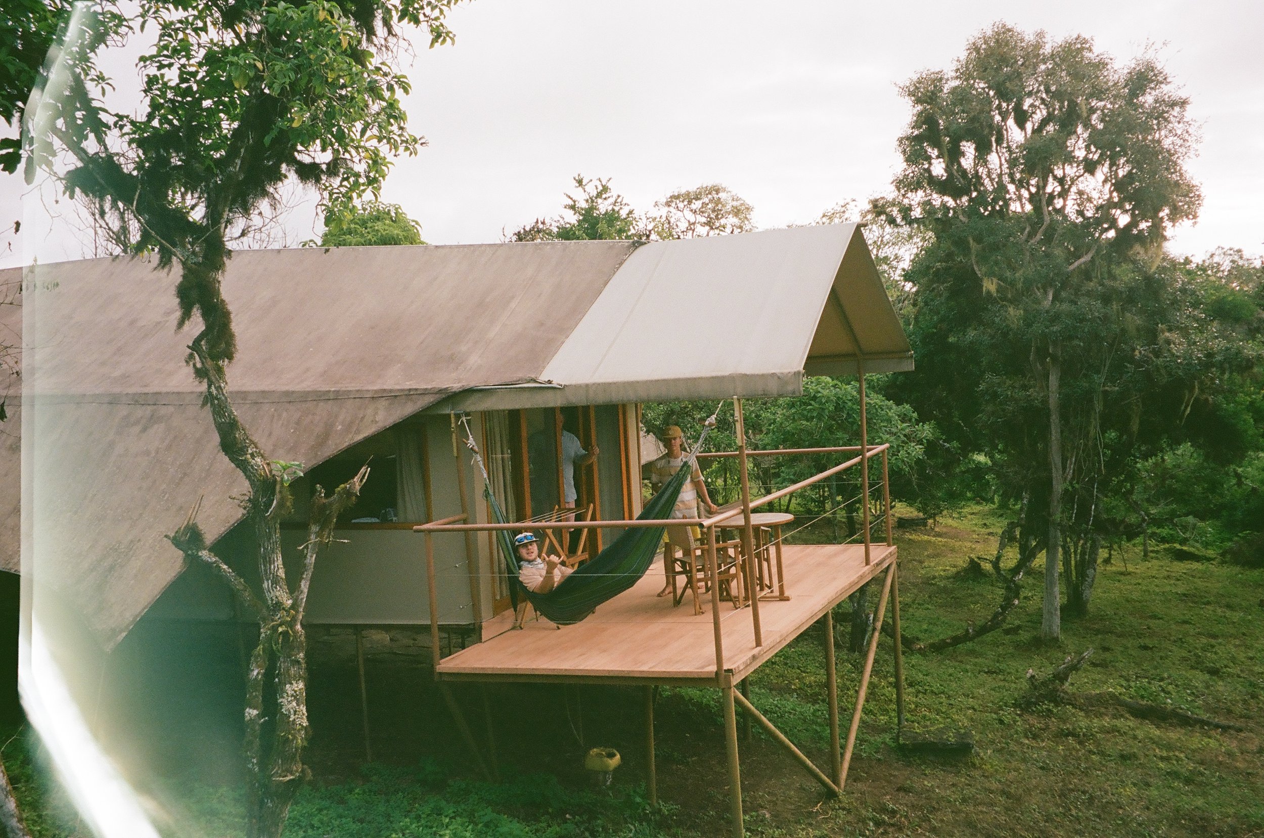 A person relaxing on a hammock on a wooden deck attached to a house surrounded by trees in a lush, green outdoor setting.
