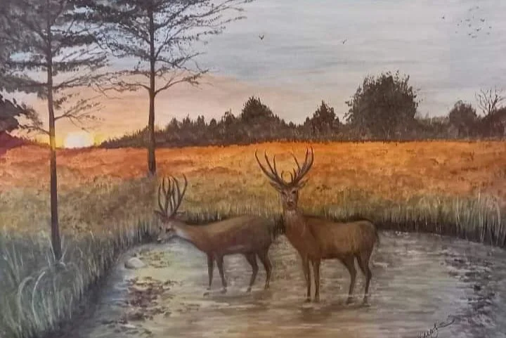 "SUNSET AND DEER" is a prophetic landscape, watercolour, painting with deer, inspired by Psalm 42:1.  Created to illustrate the deep, heartfelt longing for a closer relationship with God