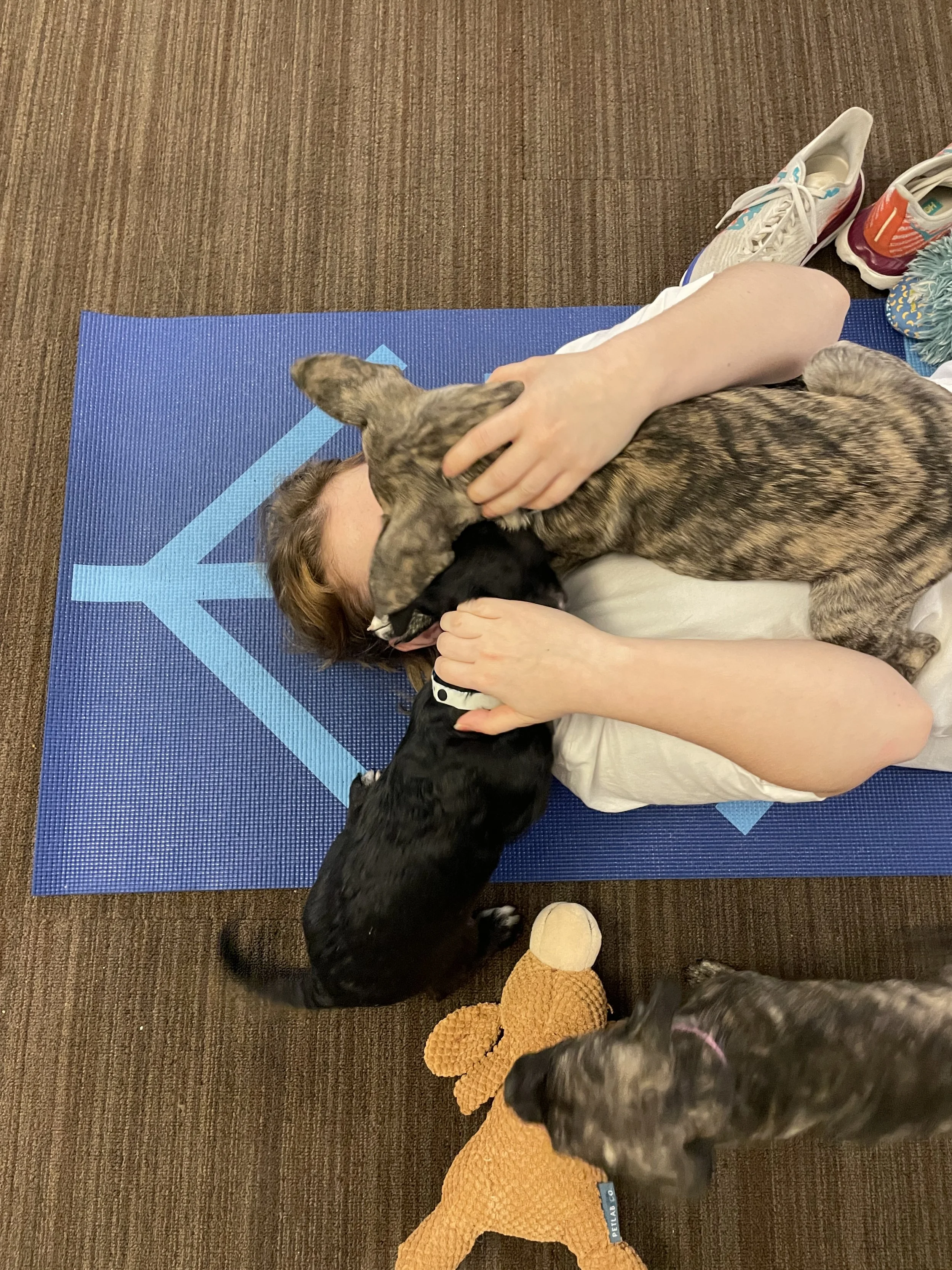 PAD Puppy Yoga (in collaboration with UVA Rec and the CASPCA)