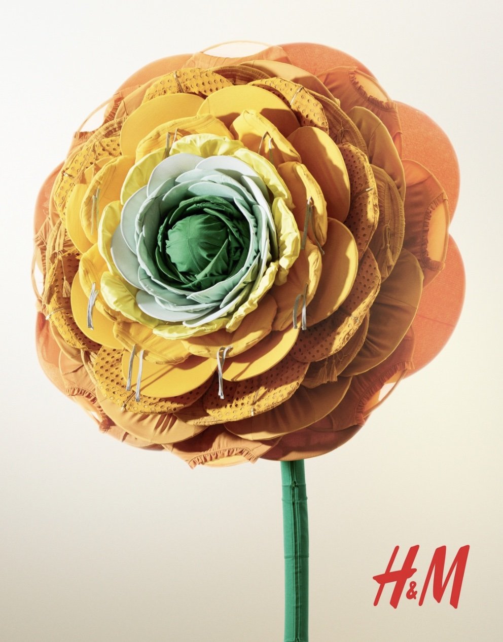 H&M.jpg