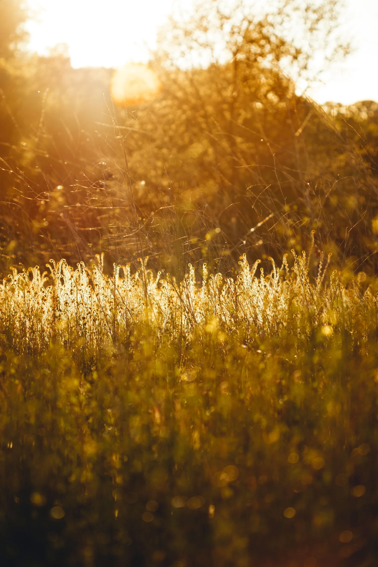 Stewardship