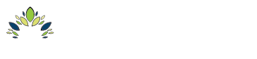 Abundant Life Planning