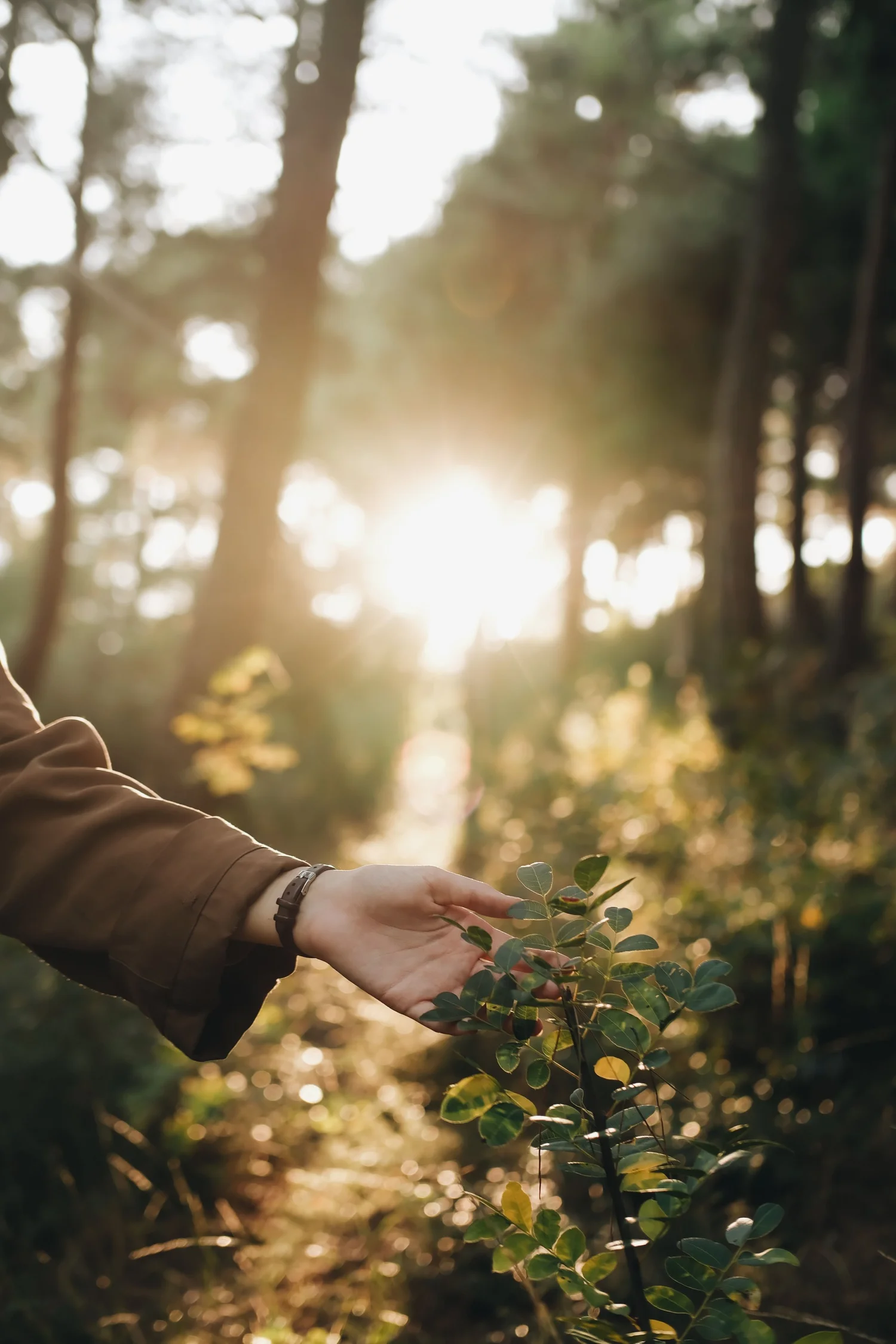 Generosity and Purpose