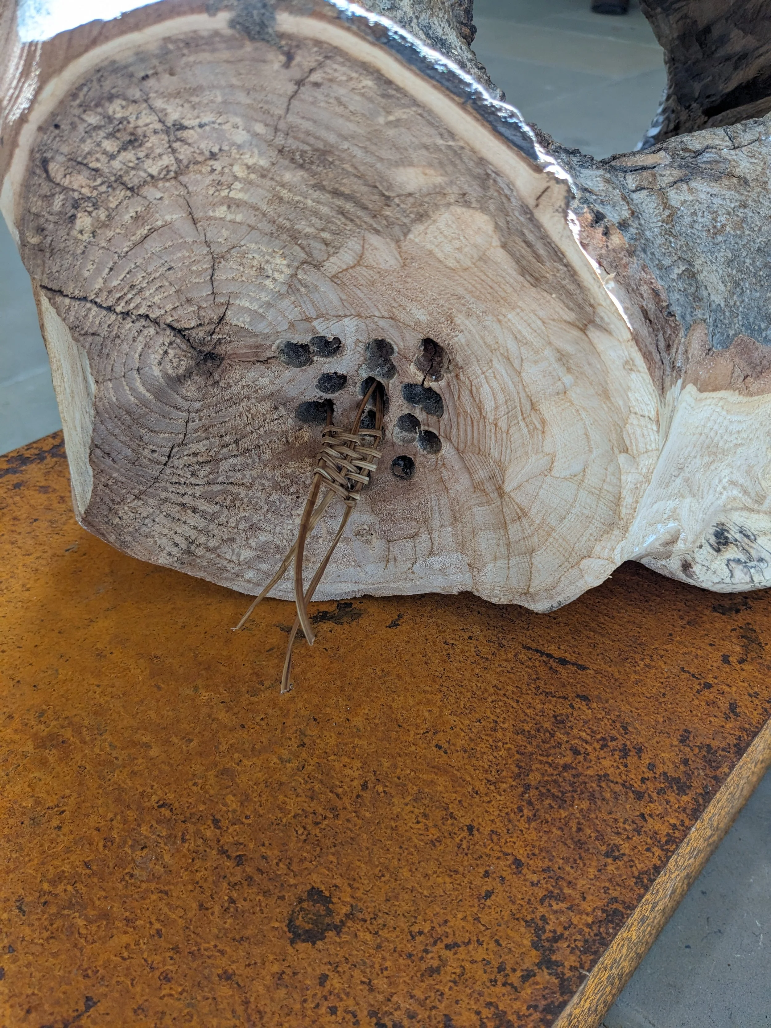 Despite All Wood.jpg