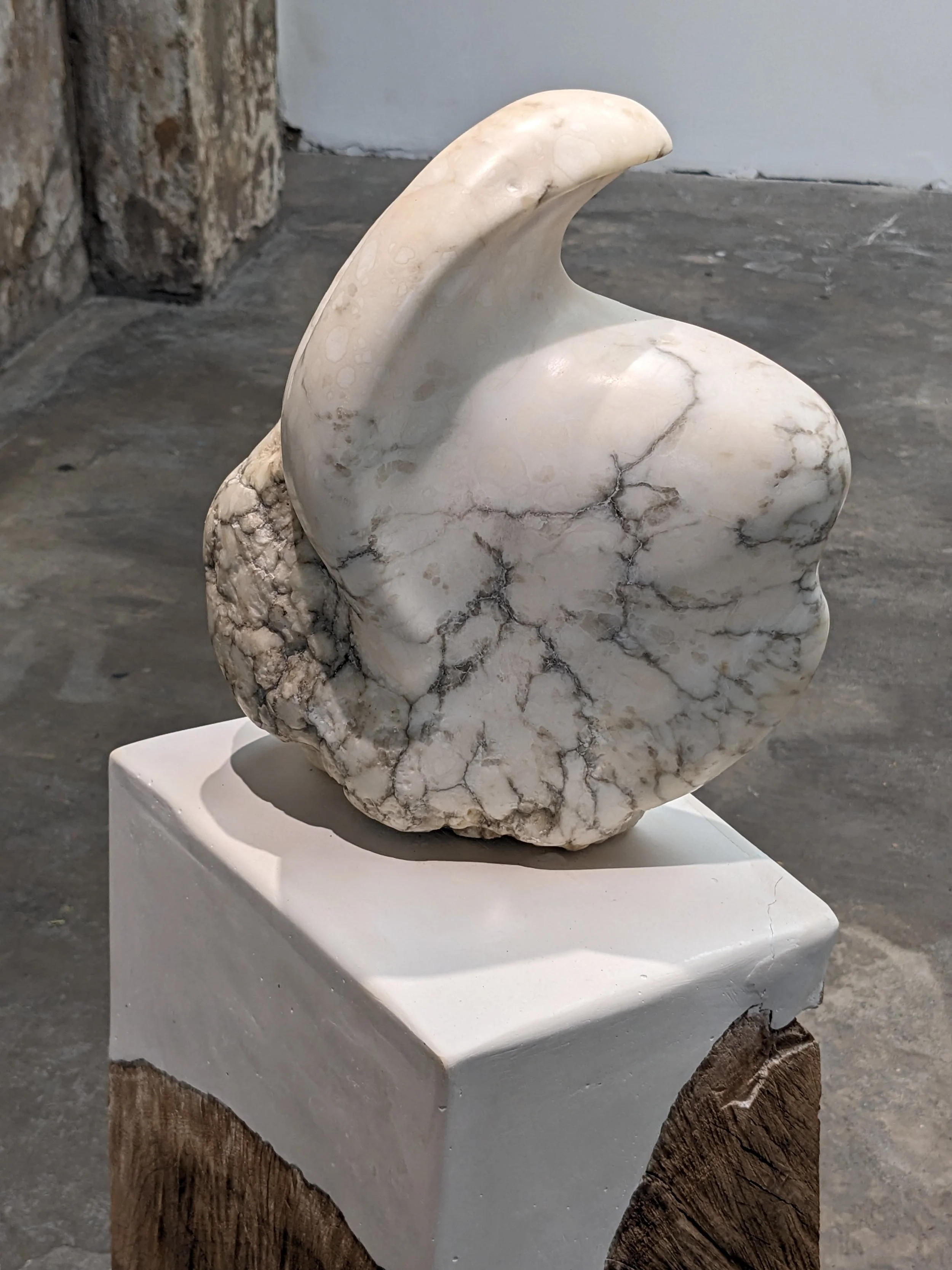 tendernessdetail2.jpg