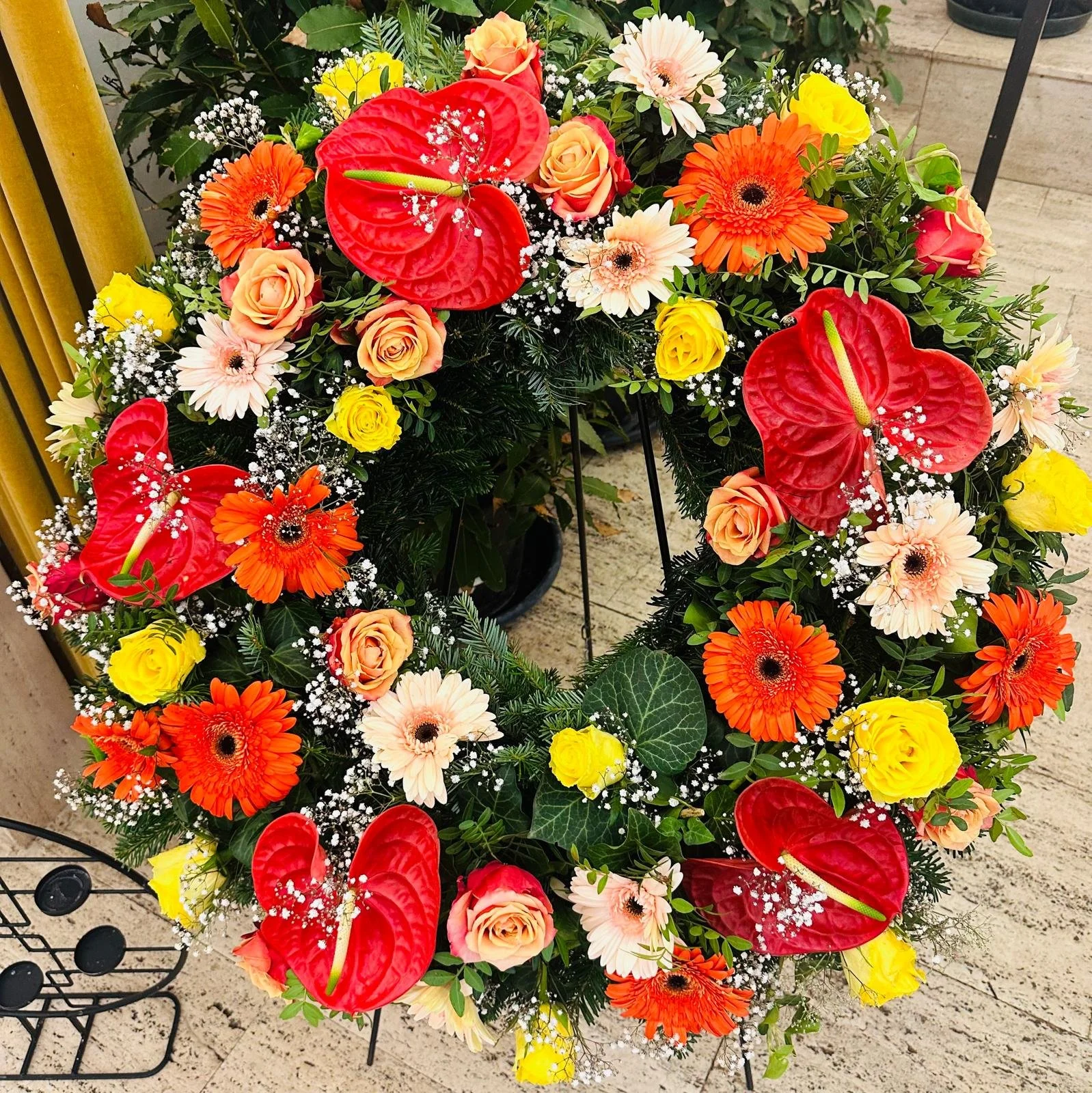 WhatsApp Image 2025-03-22 at 8.11.55 PM.jpeg