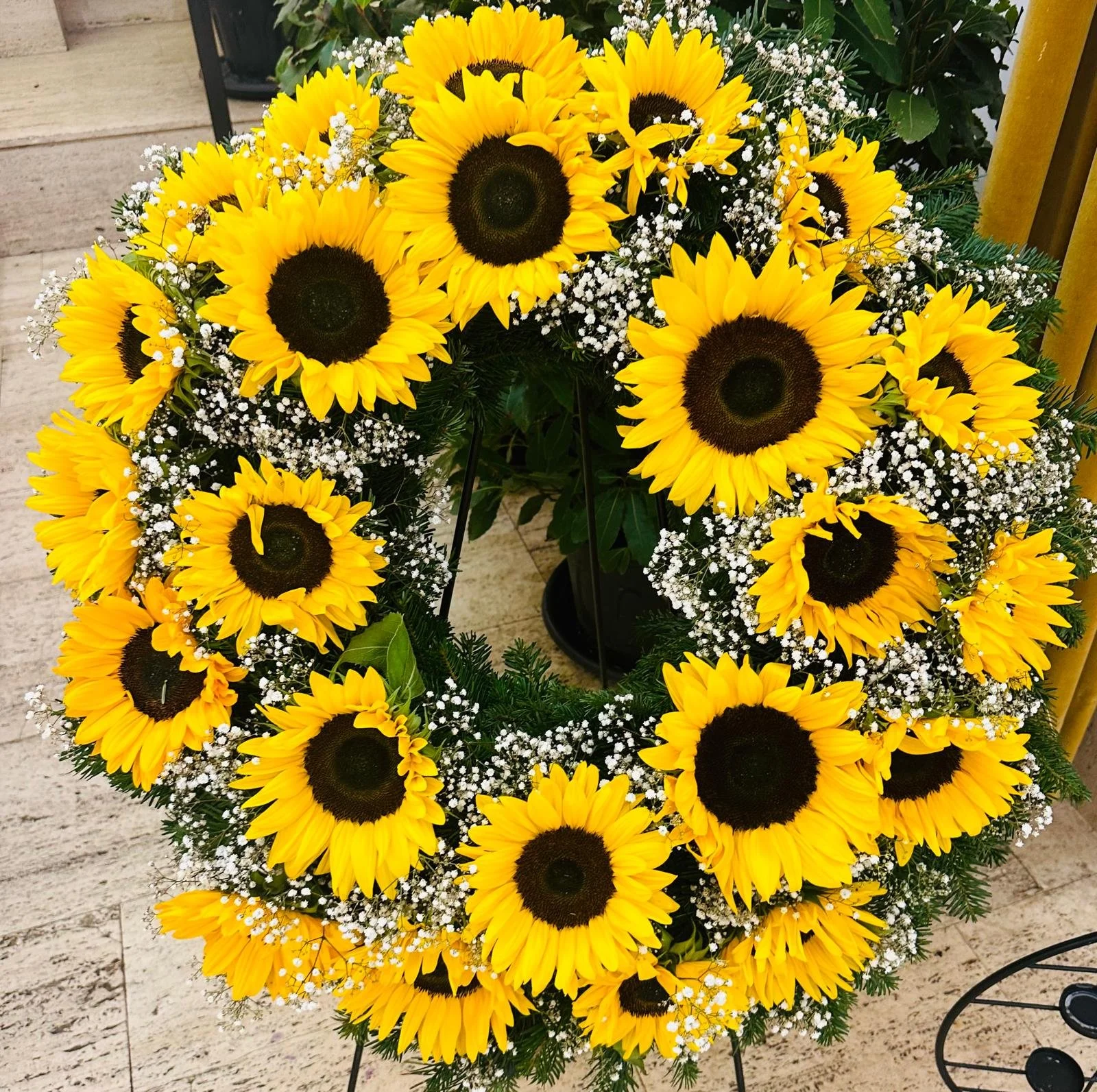 WhatsApp Image 2025-03-22 at 8.12.02 PM.jpeg