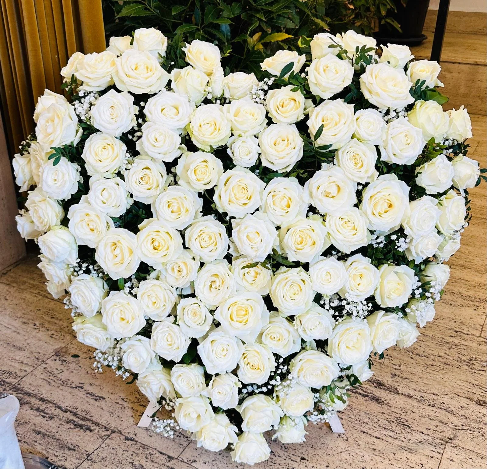 WhatsApp Image 2025-03-22 at 8.19.14 PM.jpeg