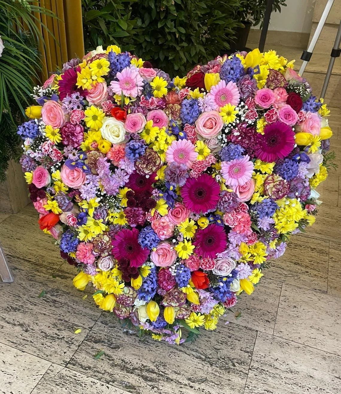 WhatsApp Image 2025-03-22 at 8.21.32 PM.jpeg