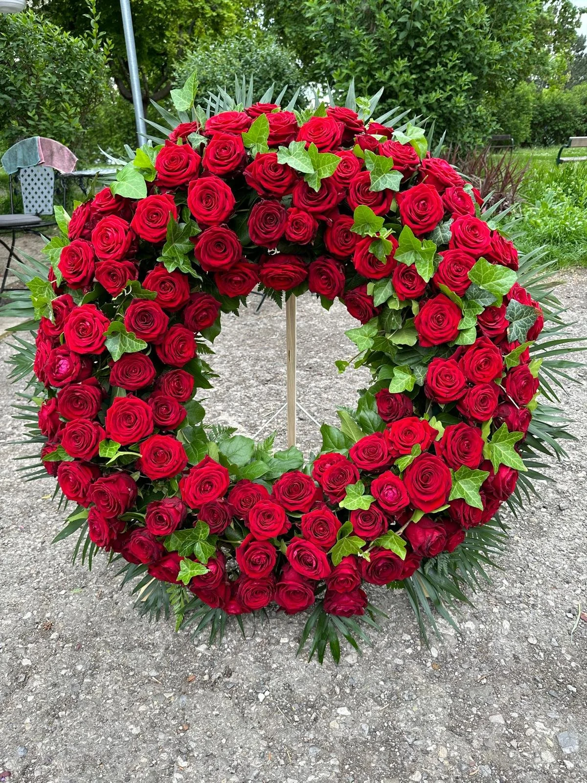 WhatsApp Image 2025-03-22 at 8.23.10 PM.jpeg