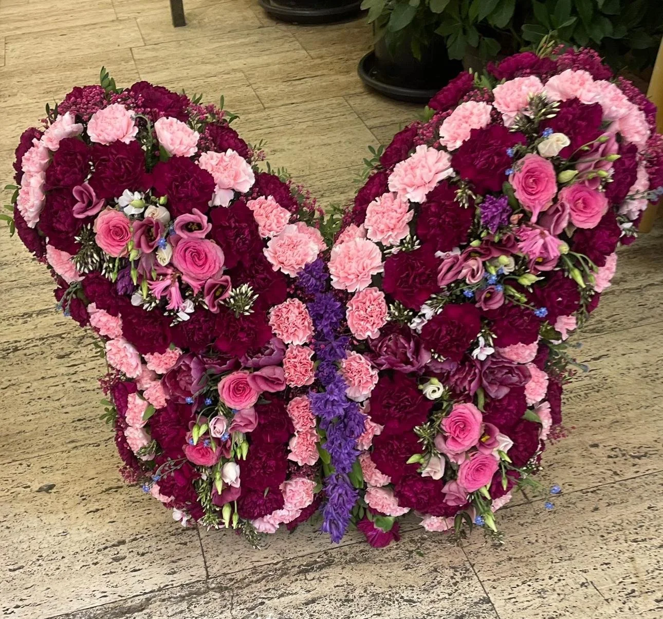 WhatsApp Image 2025-03-22 at 8.21.42 PM.jpeg