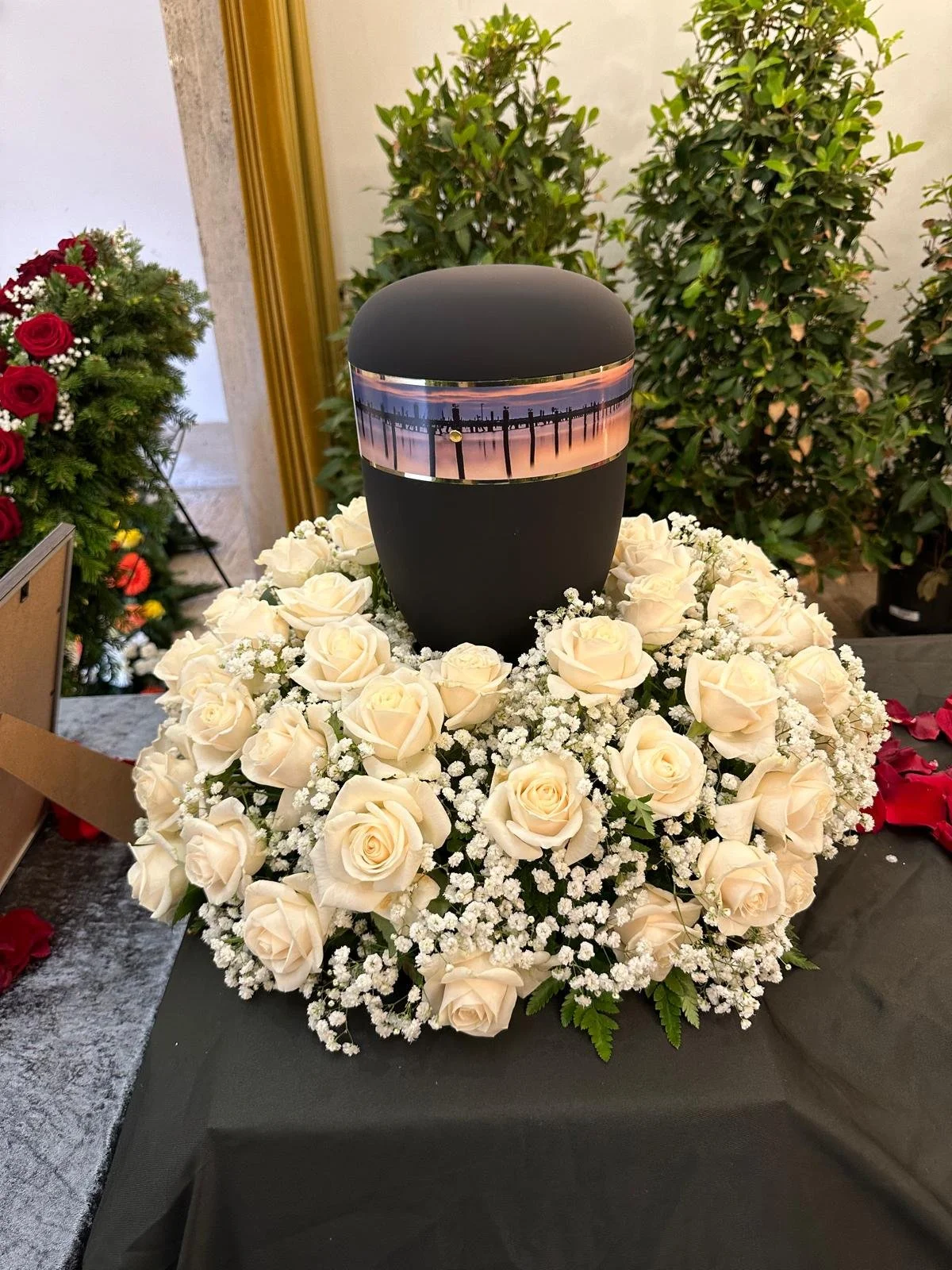 WhatsApp Image 2025-03-22 at 8.20.06 PM.jpeg