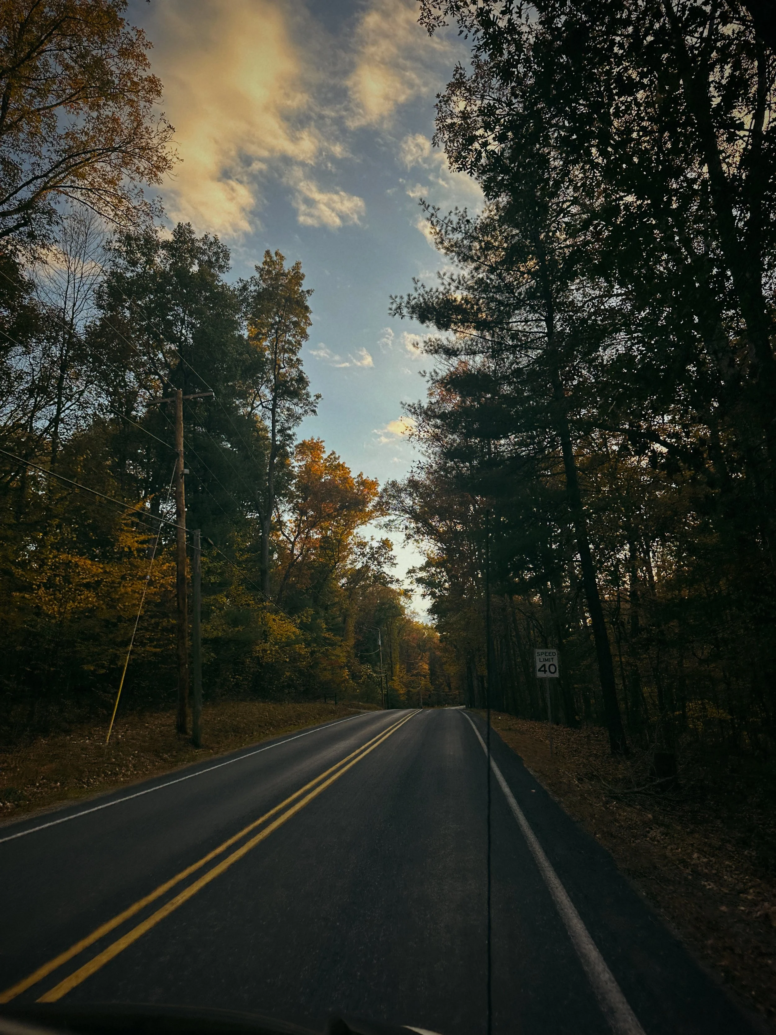 When Fear Walks Into the Room