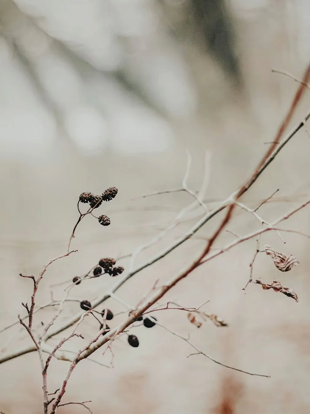 When You Don’t Know What’s Next: Trusting God in Seasons of Uncertainty