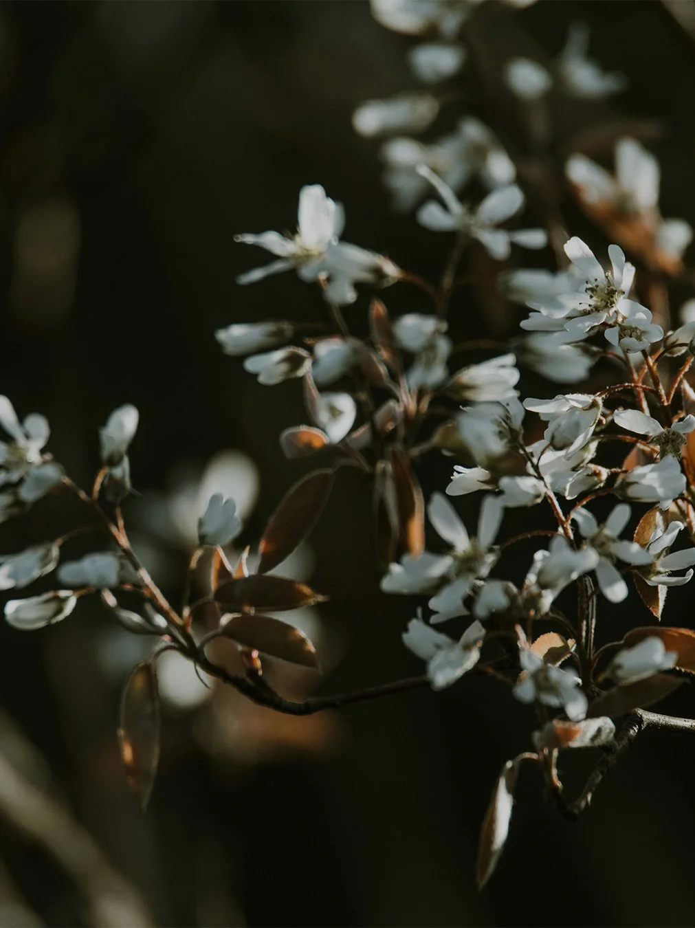 How to Perform A Life Audit