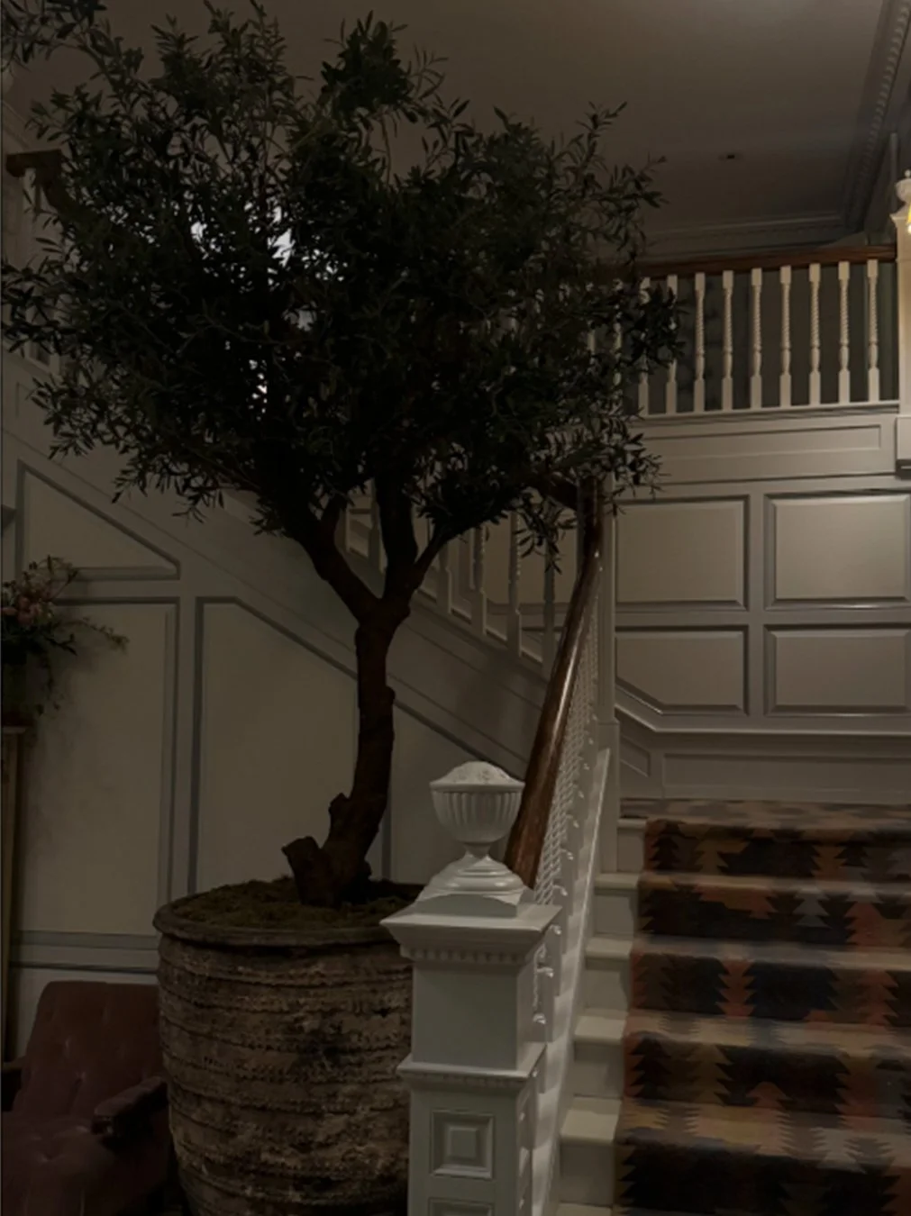 Indoor tree beside a staircase, creating a quiet setting for reflection and personal growth.