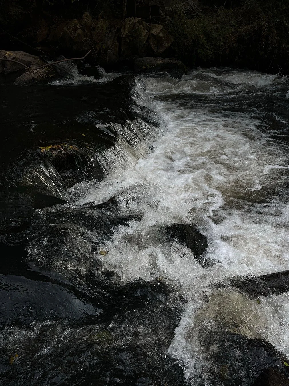 Where God Dwells, Blessing Flows