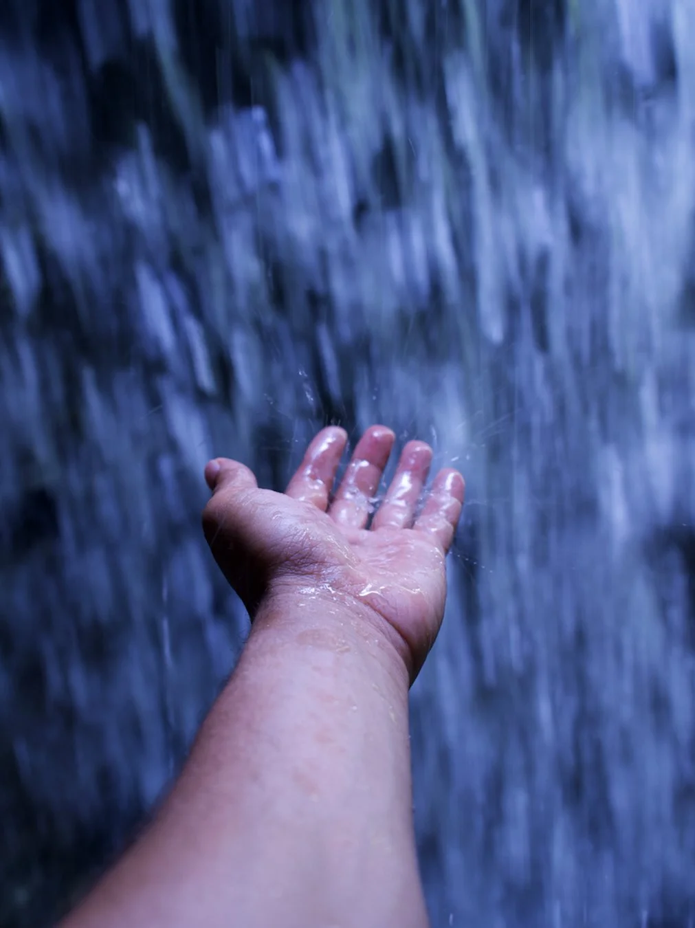 Martha, the Overthinking Mind, and the Call Back to Presence