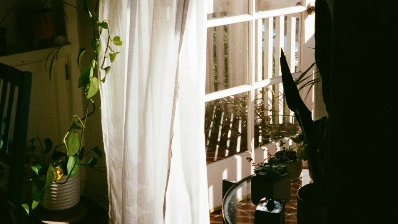 Sunlight shining through white curtains beside houseplants, representing what does it mean to deny yourself.