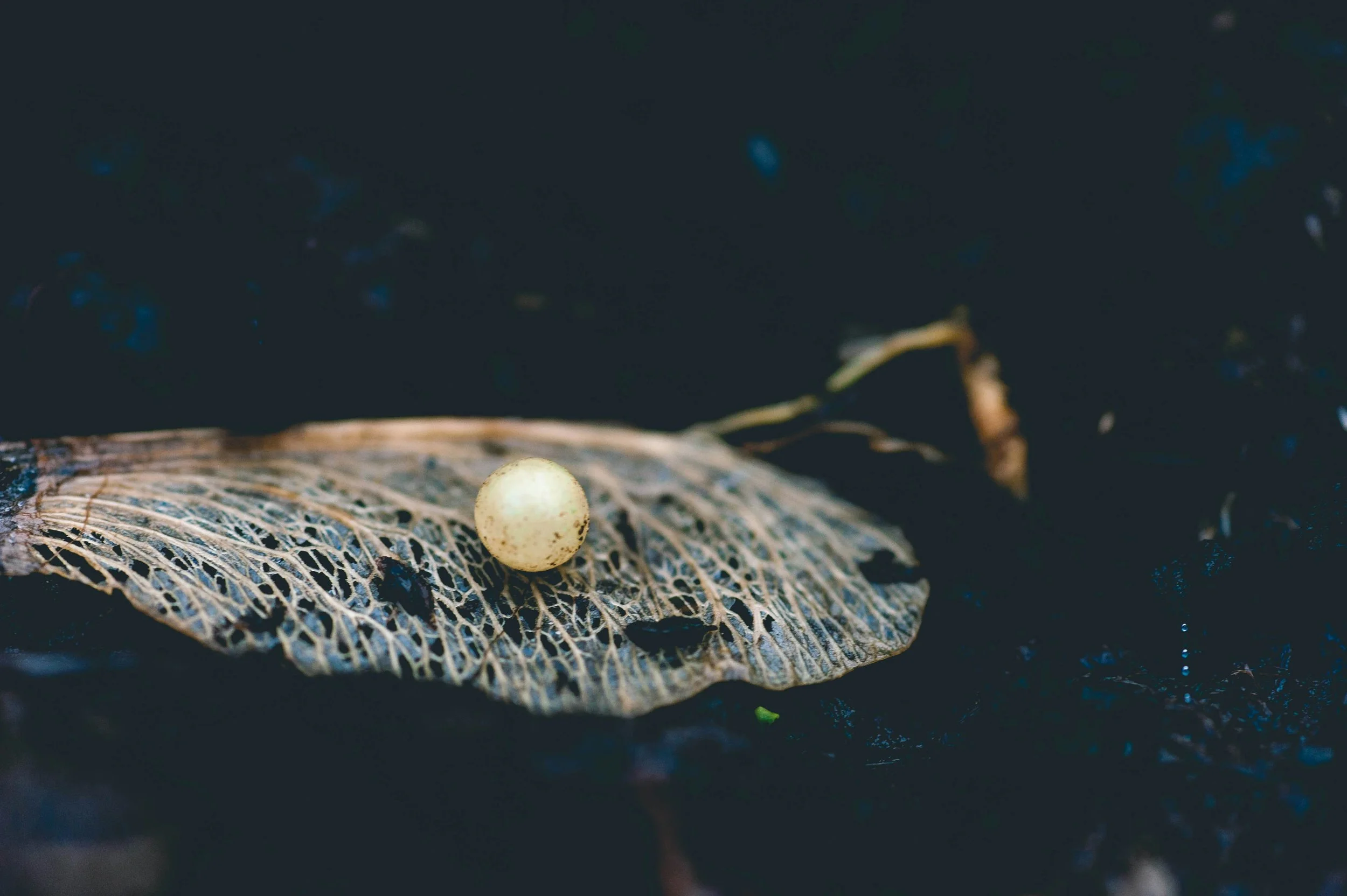 alex-turcu-xoX4gBWt_Xw-unsplash.jpg