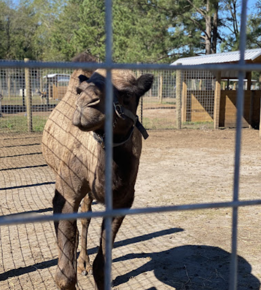 Screenshot 2024-11-20 at 1.12.55 AM.png