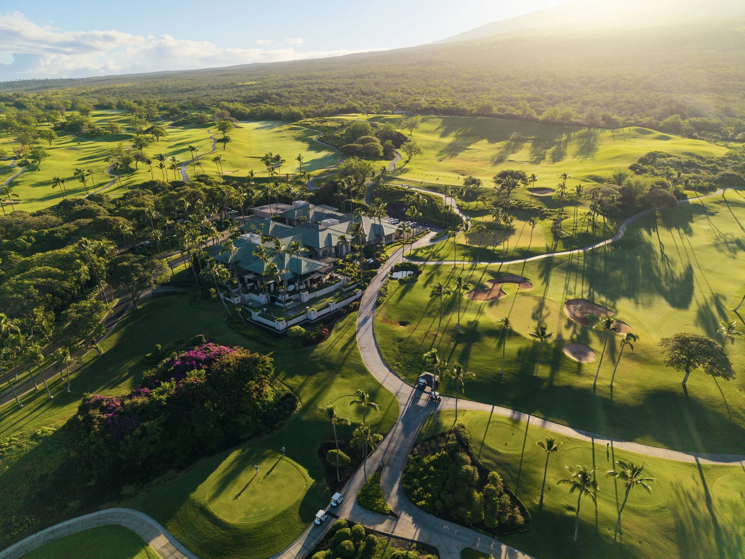 Wailea_GC_44.jpg