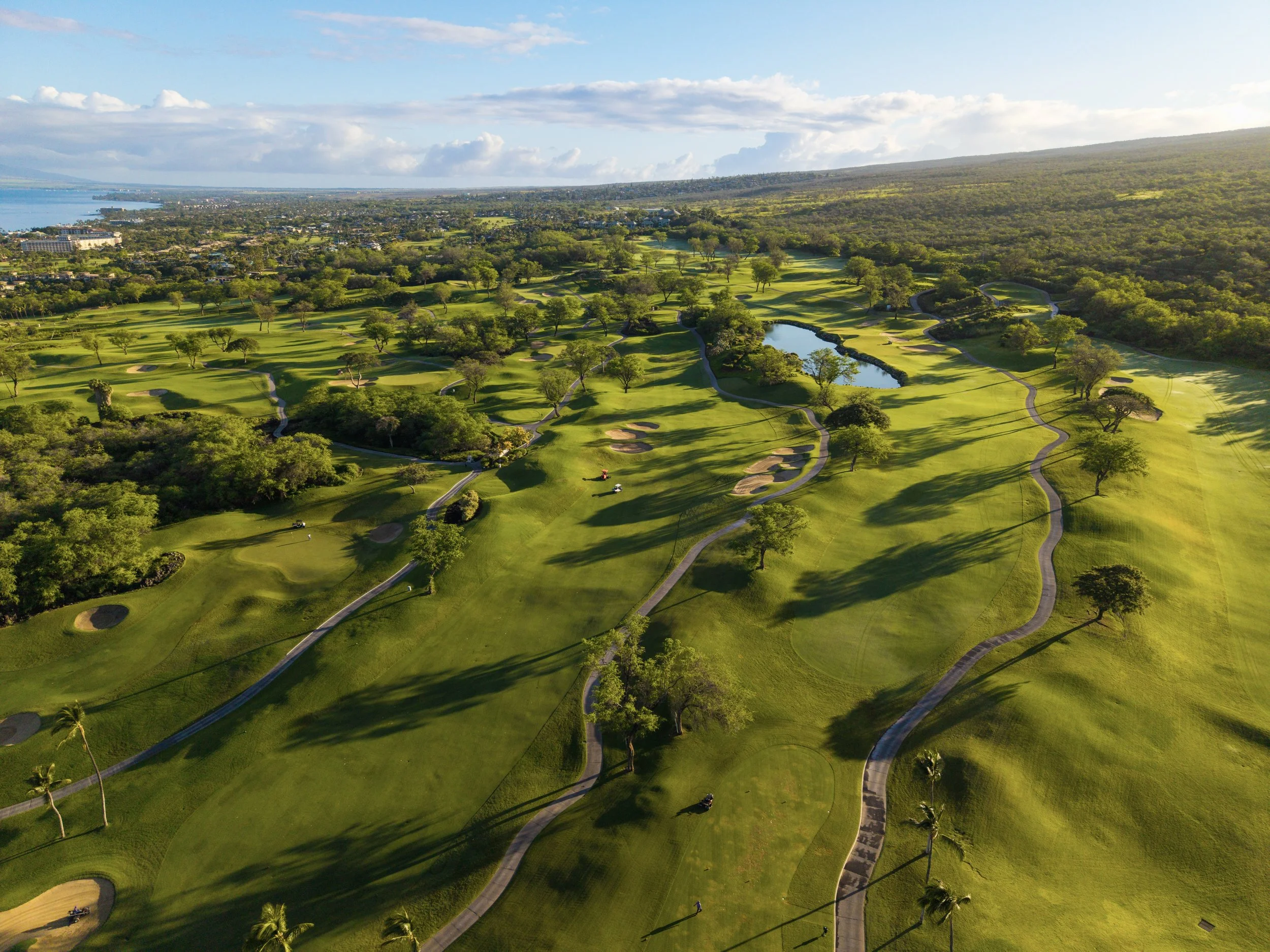 Wailea_GC_42.jpg